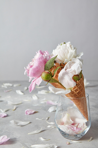 Wafer cones for ice cream with flowers peony in a glass vase, droplets of water on a buds, petals on a gray background. Place under text. Concept of congratulations for birthday.