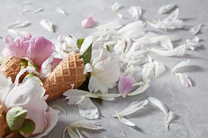 Creative composition from delicate flowers peony in a wafer cones with petals on a gray stone table, copy space. Top view. Concept of congratulations for March 8.