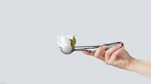 The bud of white peony flower in the spoon instead of ice cream in the woman hand on a light gray background with place for text.