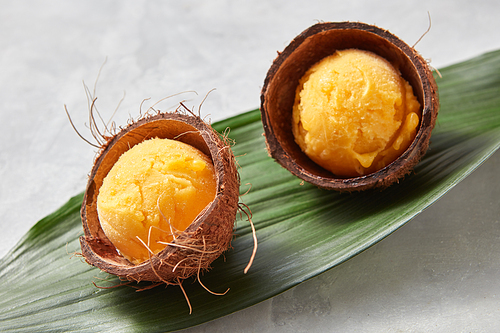 Delicious yellow ice cream in a coconut shell on a palm leafed gray concrete background. Summer dessert. Top view