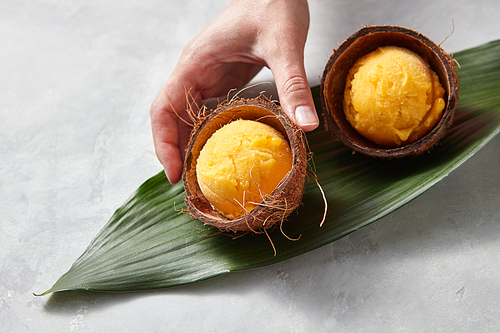 Two coconut shells with balls of apetitic mango ice cream on a green leaf on a gray concrete background with copy space for text. Girl's hand takes ice cream. Top view