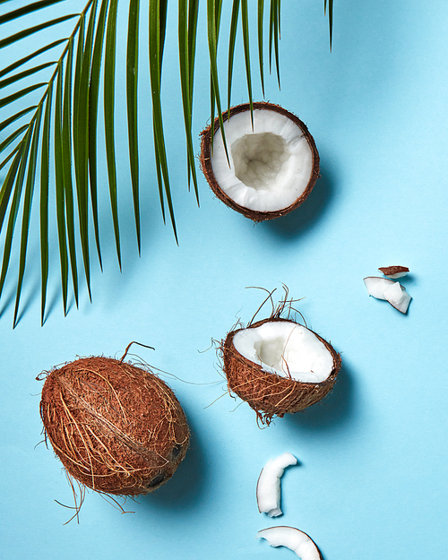 A beautiful composition of organic halves and a whole coconut on a blue background decorated with a plaque sheet with a copy of the space. Flat lay