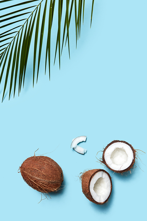 Pieces and whole coconut with palm green leaf on a blue background copy space for text. Food composition. Flat lay