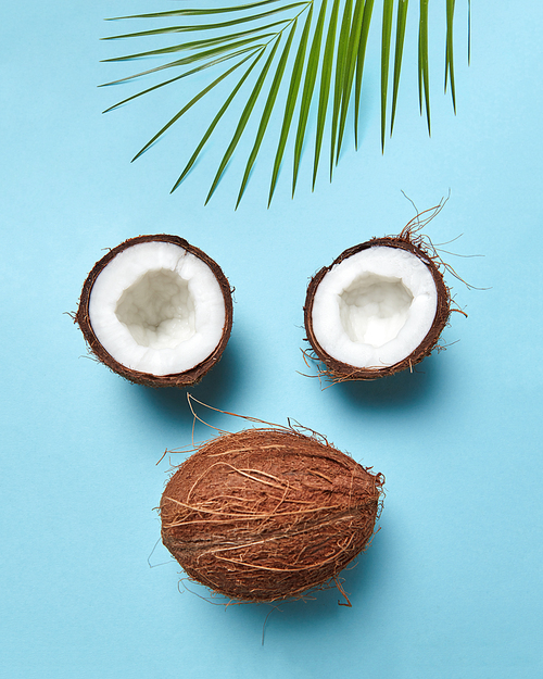 Halves and whole tropical nut with palm leaf in the form of a face on a blue background with space for text. Flat lay