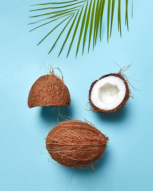 Composition from coconut and palm leaf in the form of a face with a closed eye on a blue background with copy space. Flat lay