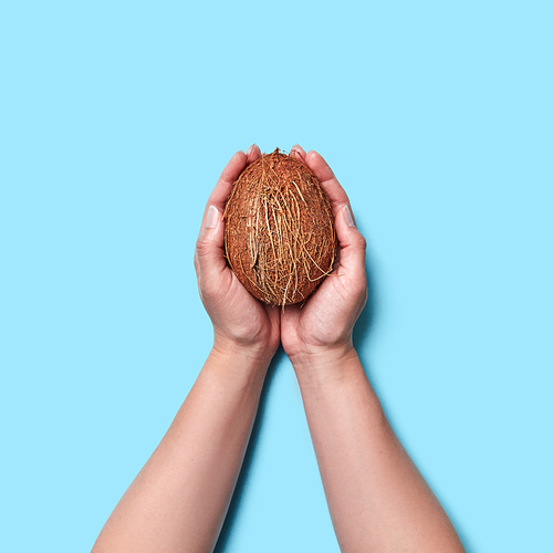 Tropical coconut is holding female hands on a blue background with space for text. Food layout. Flat lay