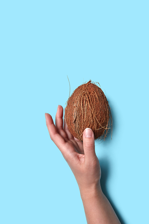 A whole coconut takes a female hand around a light blue background with copy space. Flat lay
