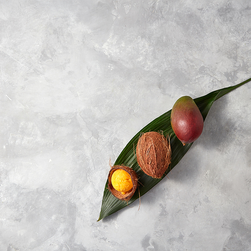 Fresh mango, whole coconut and coconut shell with yellow ice cream on a palm leaf on a gray concrete background with scopies of space for text. Flat lay