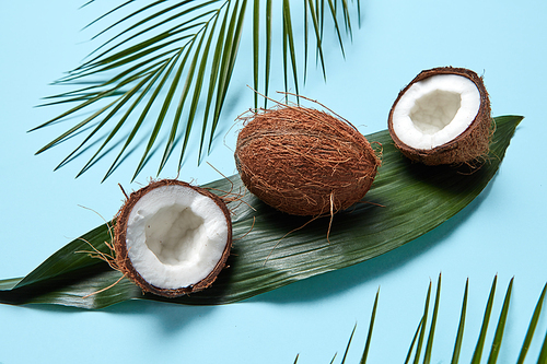 Composition of whole and half coconut on a green leaf and palm leaves on a blue background. Flat lay