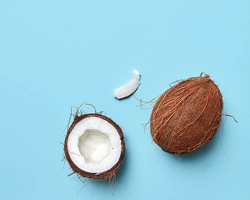 Exotic nut. Whole and half coconut on a blue background with copy space for text. Flat lay