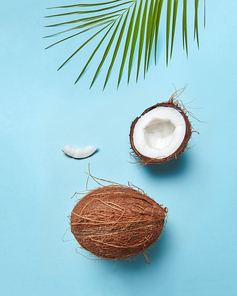 Composition from a palm green leaf and a coconut in the form of a smile face on a blue background with space for the text. Creative layout for your ideas. Flat lay