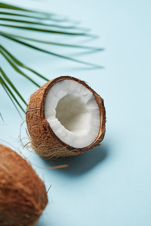Fresh coconut half with the leaves of a palm tree on a blue background. Medicine and healthy eating concept
