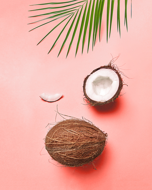 Composition from a palm green leaf and a coconut on a color background of the year 2019 Living Coral Pantone with space for the text. Creative layout for your ideas. Flat lay