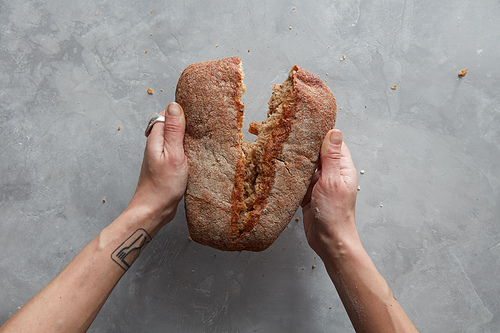 Female hands breaking in half round black bread on a gray background