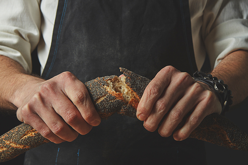 Men Hand breaking and separating a freshly baked baguette with poppy seeds on a dark background. Concept of bread.