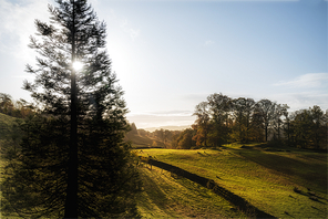 Beautiful Autumn Fall landscape of woodland in early morning light over English countryside
