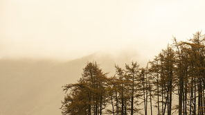 Stunning Autumn Fall landscape view along valley towards Mellbreak and Grasmoor in Lake District with beautiful epic lighting in late afternoon
