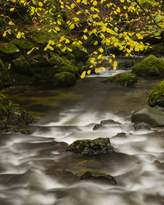 Beautiful Autumn Fall landscape of flowing river and waterfall in Lake District