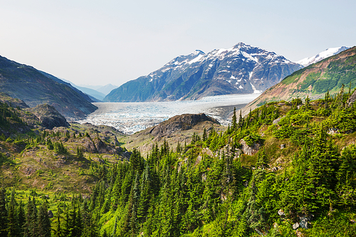 Picturesque mountain view in the Canadian Rockies in summer season