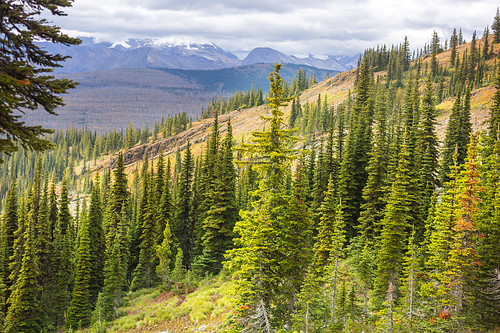 Picturesque mountain view in the Canadian Rockies in summer season