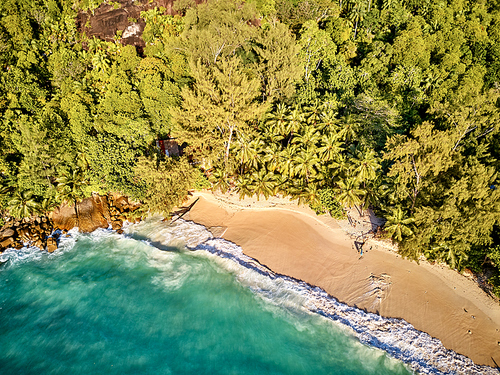 Beautiful beach with palm trees aerial top view drone shot at Seychelles, Mahe