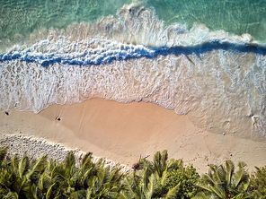 Beautiful beach with palm trees aerial top view drone shot at Seychelles, Mahe
