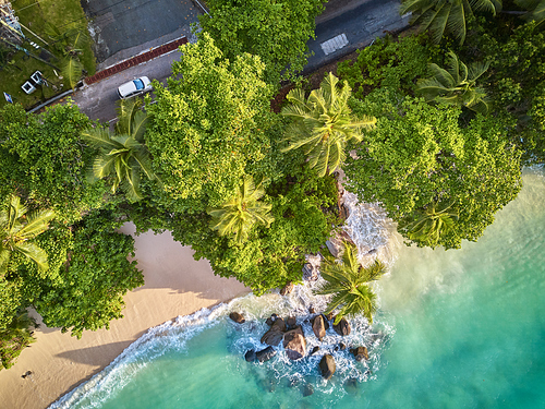 Beautiful beach with palm tree and rocks aerial top view drone shot at Seychelles, Mahe