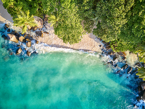 Beautiful beach with palm tree and rocks aerial top view drone shot at Seychelles, Mahe