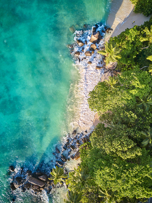 Beautiful beach with palm tree and rocks aerial top view drone shot at Seychelles, Mahe