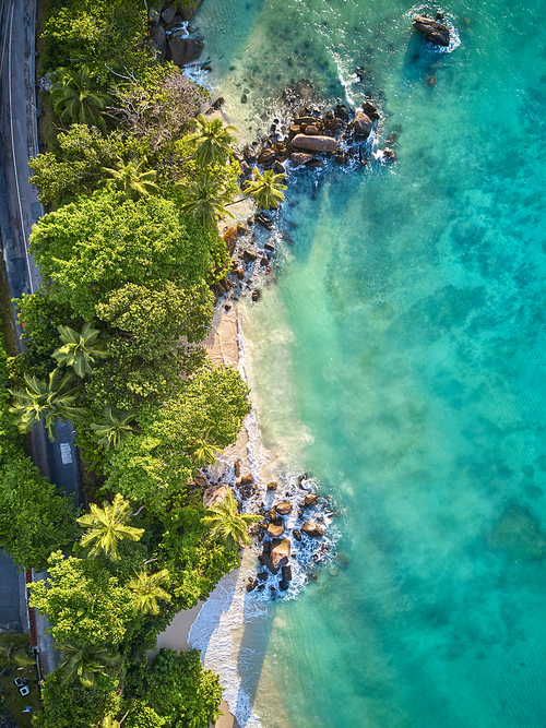 Beautiful beach with palm tree and rocks aerial top view drone shot at Seychelles, Mahe