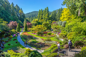 Butchart Gardens at Victoria Island, Canada in summer.  View of the colorful flowers and trees of the historic garden.