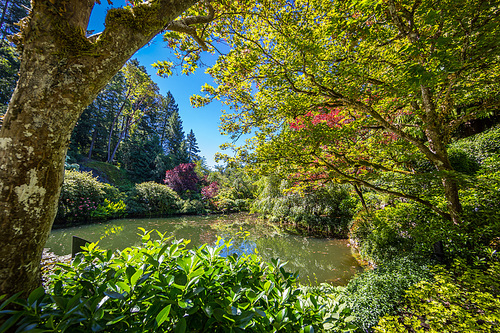 Butchart Gardens at Victoria Island, Canada in summer.  View of a hidden pond with flowers and trees of the historic garden.