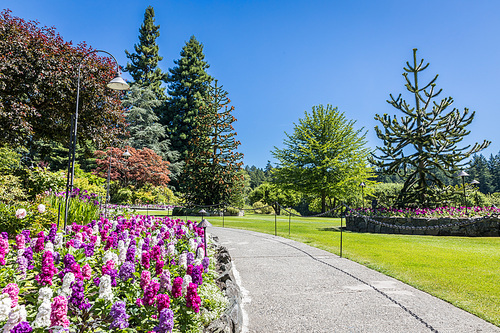 Butchart Gardens at Victoria Island, Canada in summer.  View of the walkway with flowers and trees of the historic garden.