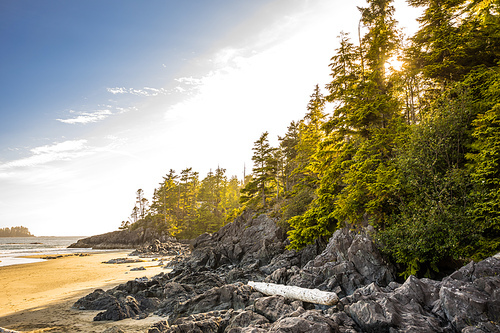 View of pacific coastline near Tofino, Vancouver Island, British Columbia, Canada