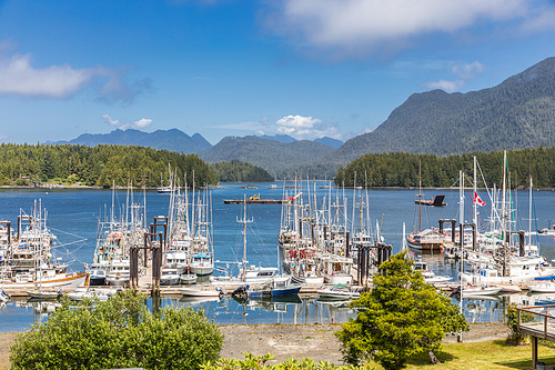 Harbor in Tofino, Vancouver Island, Canada