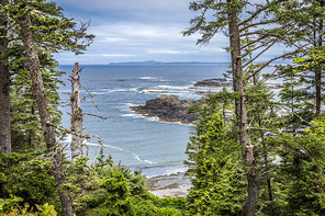 View of pacific coastline and rain forest near Tofino, Vancouver Island, British Columbia, Canada