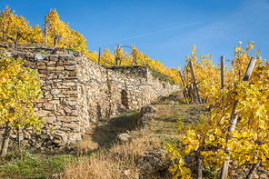 Traditional stonewall in the vinyards near D?rnstein, Wachau, Austria