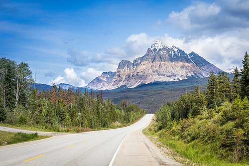 Road to Mount Fitzwilliam, Canada