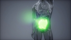 science anatomy scan of human small intestine glowing