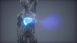 science anatomy scan of human liver glowing