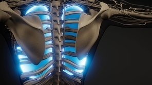 science anatomy scan of human lungs glowing