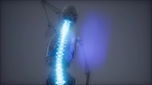 backache in backbone. science anatomy scan of human spine bones glowing