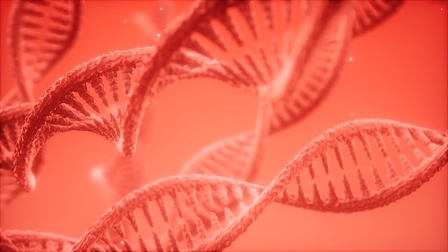 structure of the DNA double helix animation, DNA molecular and biologigical footage concept