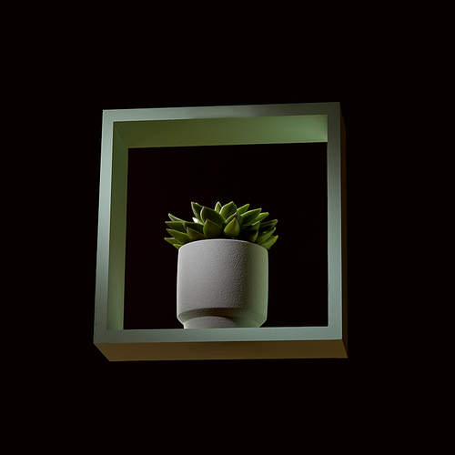 Composition from a green wooden frame and succulents echeveria in a flowerpot on a dark background. Modern decor for the interior