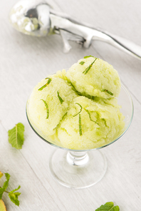 Close up of melon flavored ice-cream with mint and melon on a white table.