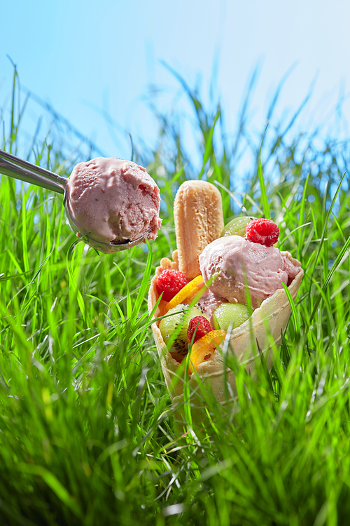 Ice cream with fresh berries, fruits and biscuits in a waffle cone. Spoon of berry ice cream. On a background of green grass