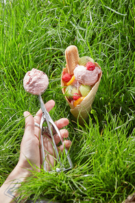 Ice cream with raspberry pieces of fruit and Savoyardi, in a waffle cone. A woman's hand holds a metal spoon with berry ice cream on a background of green grass