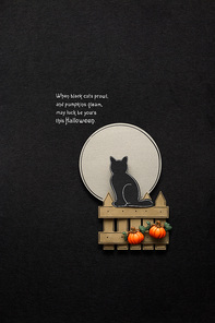 Creative halloween concept photo of a cat on a fence made of paper on black background.