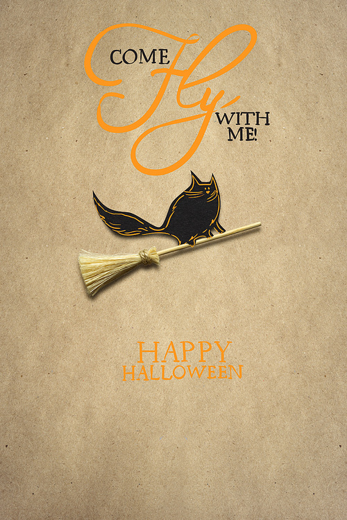 Creative halloween concept photo of a cat on a broom made of paper on brown background.