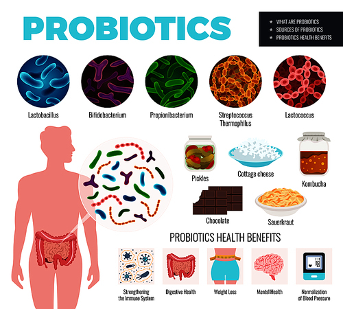 Probiotics and health set with sources and benefits symbols flat isolated vector illustration